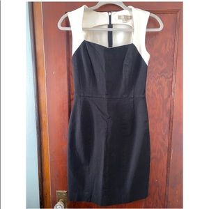 Banana Republic Color Block Dress